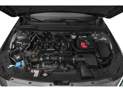 2019 Honda Accord EX-L 1.5T