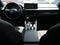 2023 Honda Accord Sport