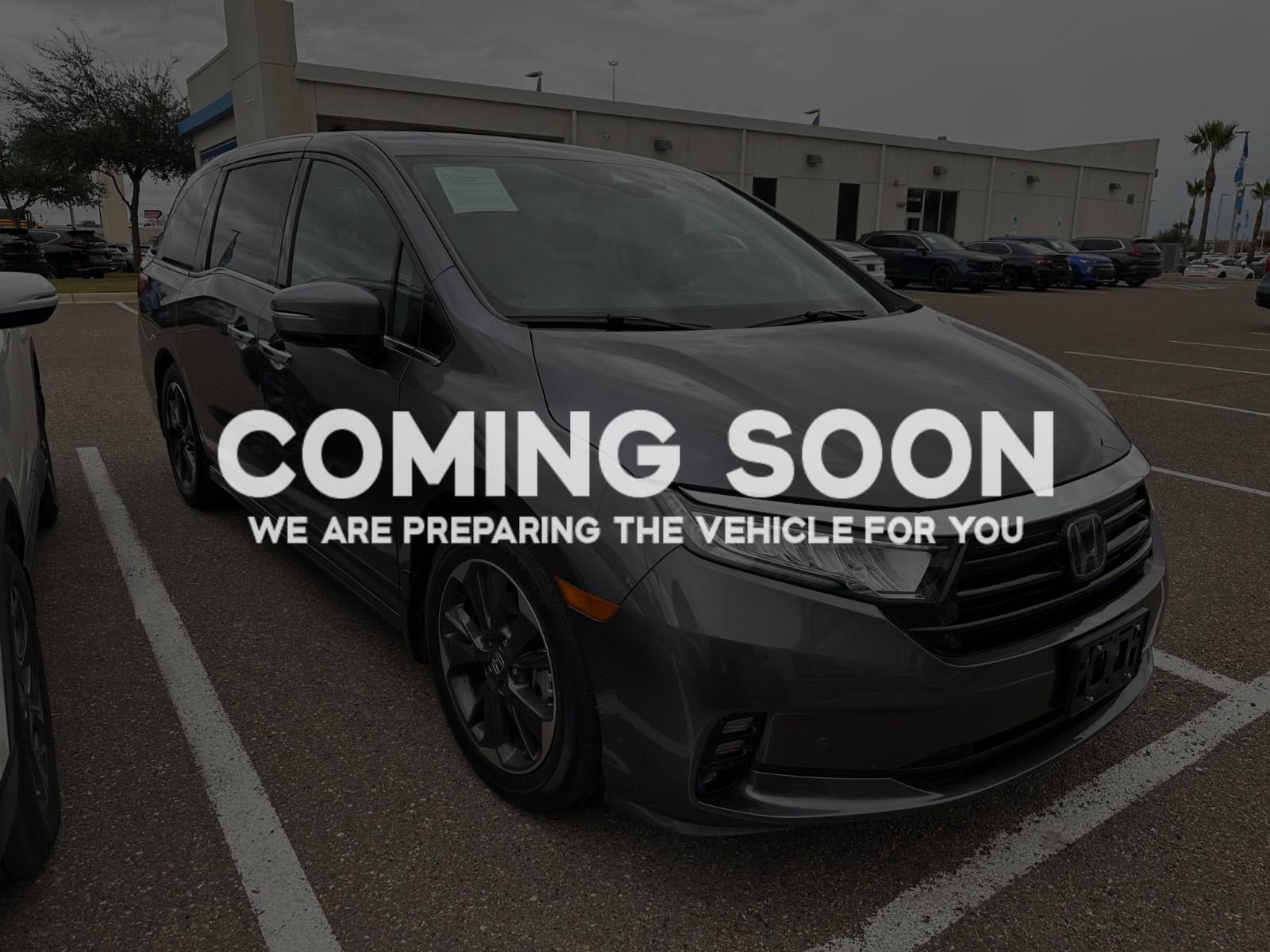2024 Honda Odyssey Elite