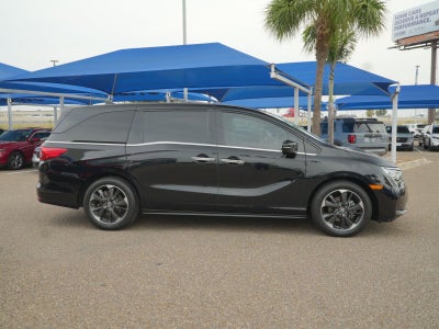 2024 Honda Odyssey Elite