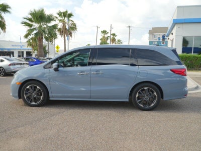 2024 Honda Odyssey Elite
