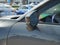 2023 Mazda Mazda CX-50 2.5 Turbo Premium Package