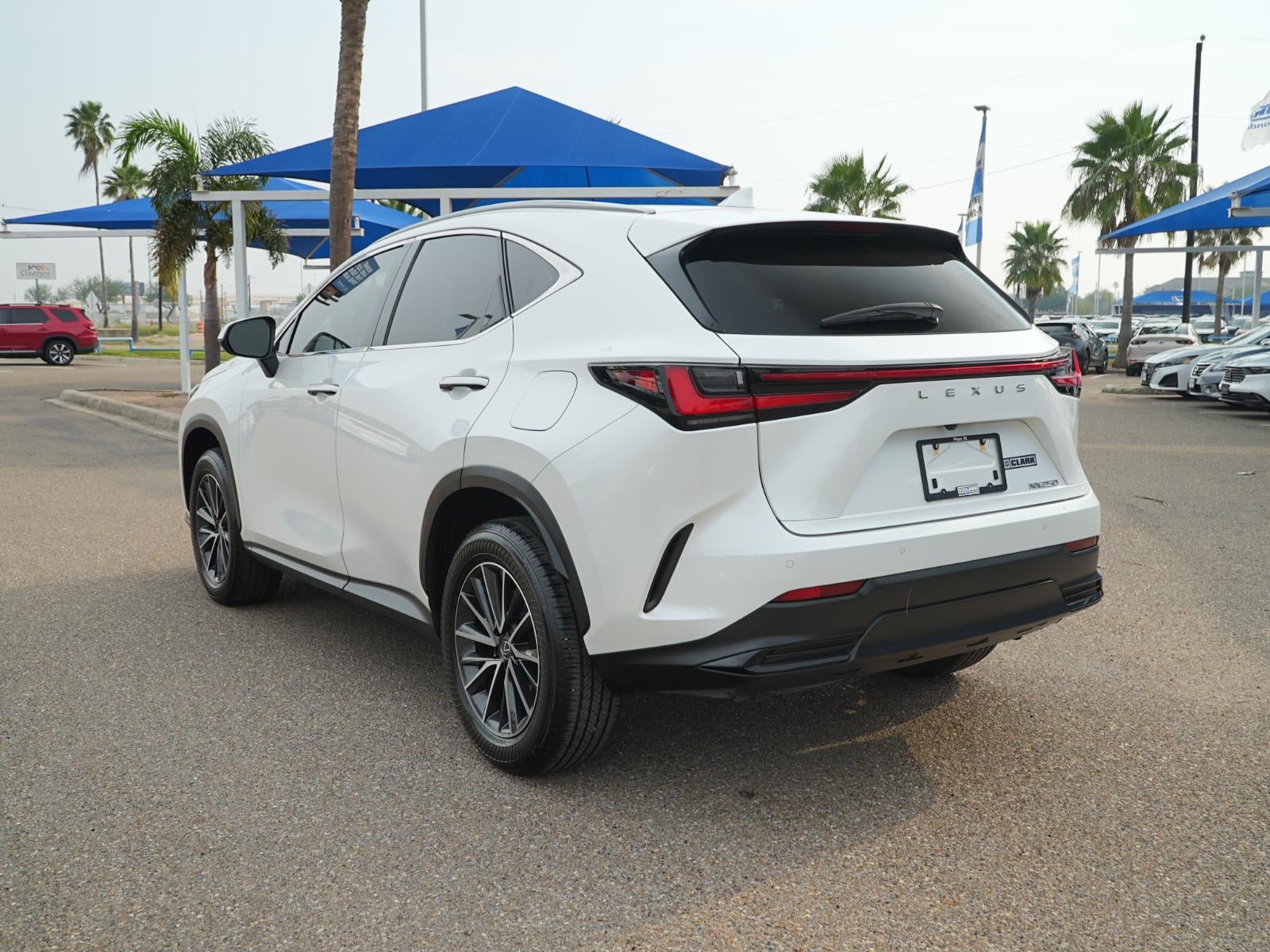 2024 Lexus NX NX 250 Premium