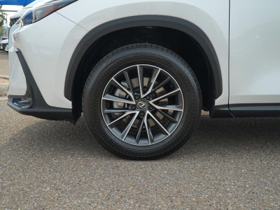 2024 Lexus NX NX 250 Premium