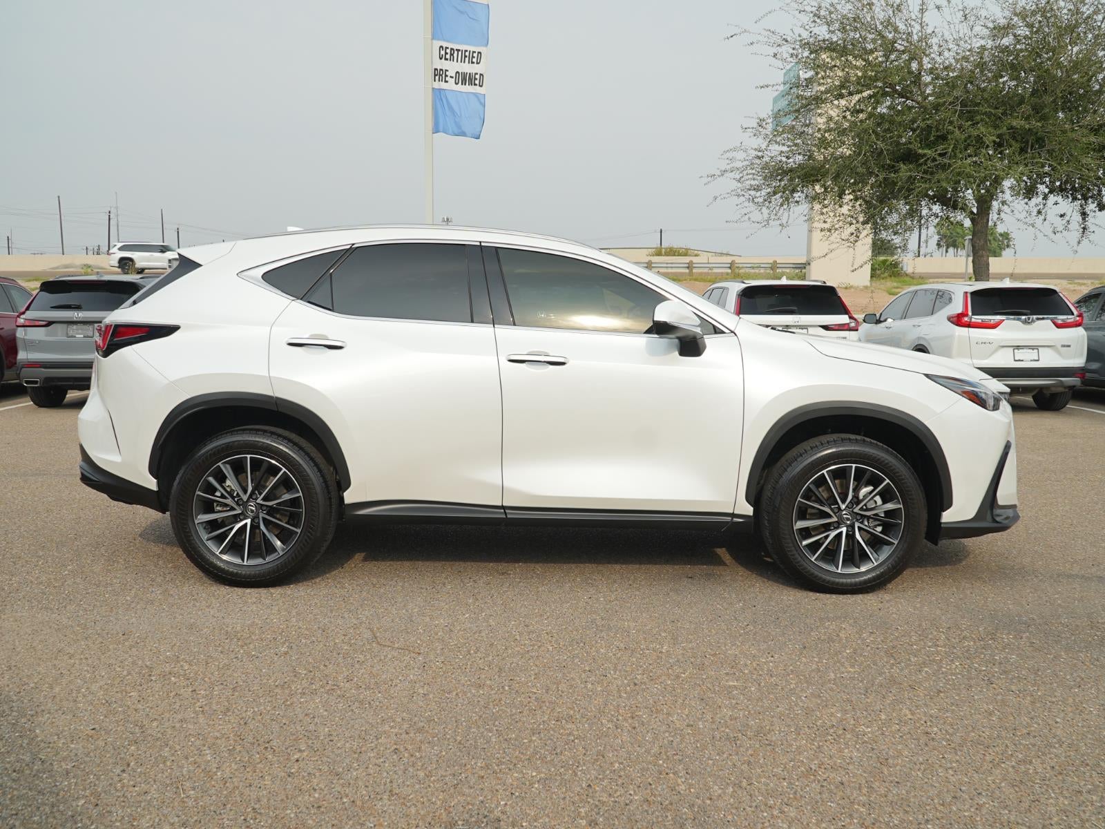 2024 Lexus NX NX 250 Premium